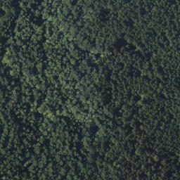 Satellite imagery of Mount Weaver, CA