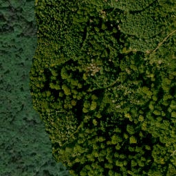 Satellite imagery of Schanzenkopf, DE