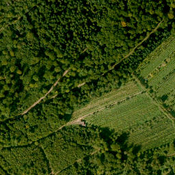 Satellite imagery of Schanzenkopf, DE