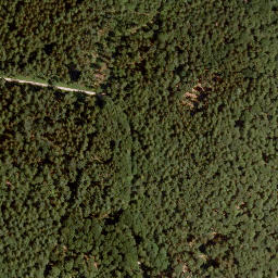 Satellite imagery of Lohrer Höhe, DE