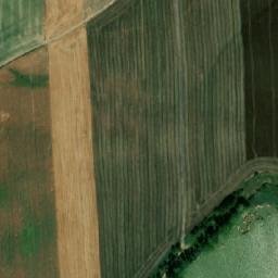 Satellite imagery of (Borky) [Chvojenec], CZ