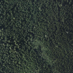 Satellite imagery of Mount Weaver, CA