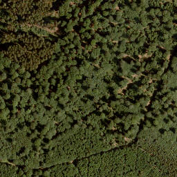 Satellite imagery of Grenzkopf, DE