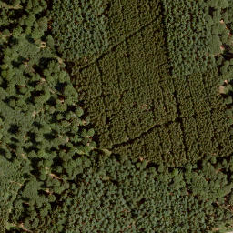 Satellite imagery of Grenzkopf, DE