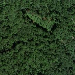 Satellite imagery of Totenkopf, DE