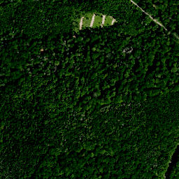 Satellite imagery of Dornbuschberge, DE