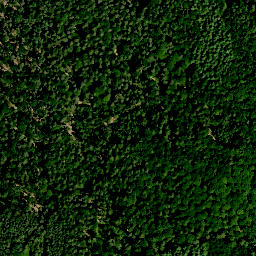 Satellite imagery of Steinert, DE