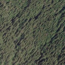 Satellite imagery of Mount Paxton, CA