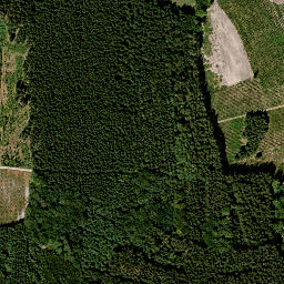 Satellite imagery of LB263, FR