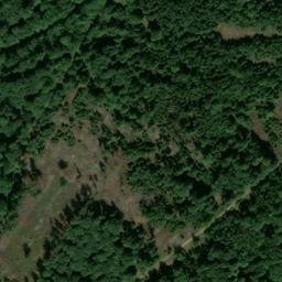 Satellite imagery of Goldener Stein, DE