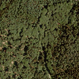 Satellite imagery of Grenzkopf, DE