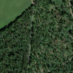 Satellite imagery of Tannenberg, DE