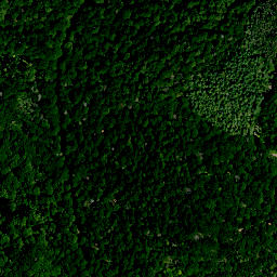 Satellite imagery of Dornbuschberge, DE