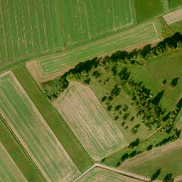 Satellite imagery of Schneppacher Höhe, DE