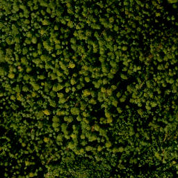 Satellite imagery of Laudenberg, DE