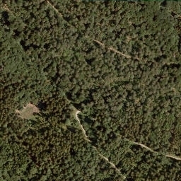 Satellite imagery of Wellberg, DE