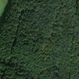 Satellite imagery of Schloss Wolfsmünster, DE