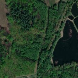 Satellite imagery of Palowice -Dworek, PL