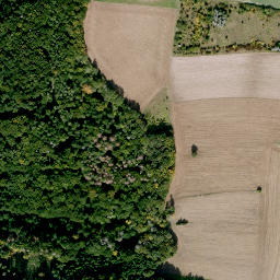 Satellite imagery of Rothenbühl, DE