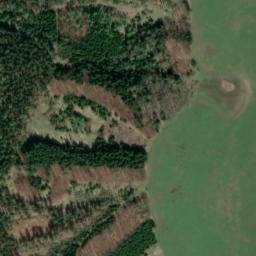 Satellite imagery of Slavkovský Les, CZ