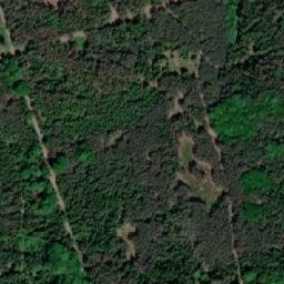 Satellite imagery of (Osiková leč) [Čermná nad Orlicí-Velká Čermná], CZ