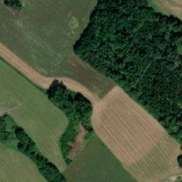 Satellite imagery of Šibeniční vrch [Mladkov], CZ