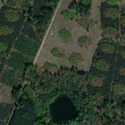 Satellite imagery of Palowice -Dworek, PL