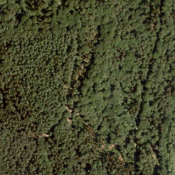 Satellite imagery of Wellberg, DE