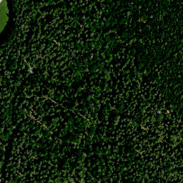 Satellite imagery of Hühnerberg (Haßwald), DE