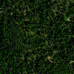 Satellite imagery of Hühnerberg (Haßwald), DE