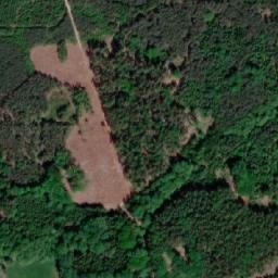 Satellite imagery of (Osiková leč) [Čermná nad Orlicí-Velká Čermná], CZ