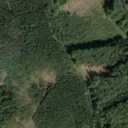 Satellite imagery of [Záchlumí-Litice nad Orlicí] burg outlook t., CZ