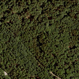 Satellite imagery of Eichenberg, DE