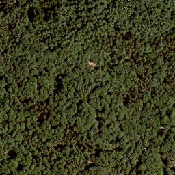 Satellite imagery of Eichenberg, DE