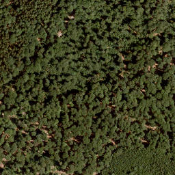 Satellite imagery of Eichenberg, DE