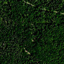 Satellite imagery of Hühnerberg (Haßwald), DE