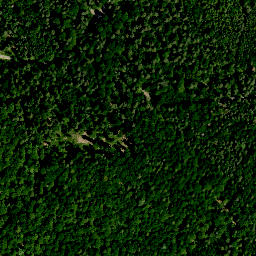 Satellite imagery of Hühnerberg (Haßwald), DE