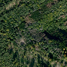 Satellite imagery of Schleizknock, DE