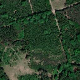 Satellite imagery of (Osiková leč) [Čermná nad Orlicí-Velká Čermná], CZ
