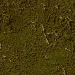 Satellite imagery of Ameisberg, DE