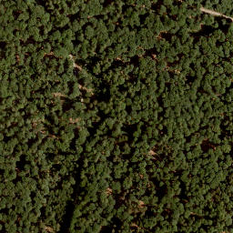 Satellite imagery of Eichenberg, DE