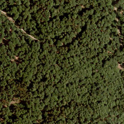 Satellite imagery of Eichenberg, DE