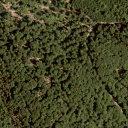 Satellite imagery of Eichenberg, DE