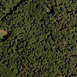 Satellite imagery of Hohe Warte, DE