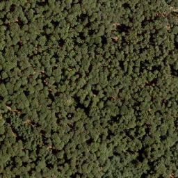 Satellite imagery of Hohe Warte, DE