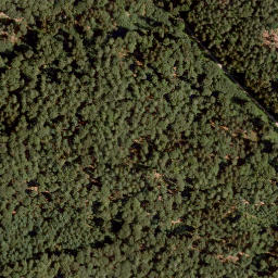 Satellite imagery of Hohe Warte, DE