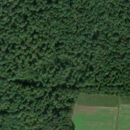 Satellite imagery of Seifriedsburg, DE