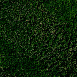 Satellite imagery of Hühnerberg (Haßwald), DE