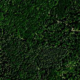 Satellite imagery of Hühnerberg (Haßwald), DE