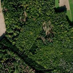 Satellite imagery of Kulmesknock, DE